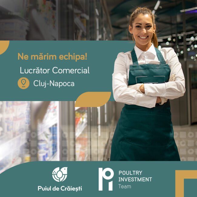 jobs-lucrator-comercial