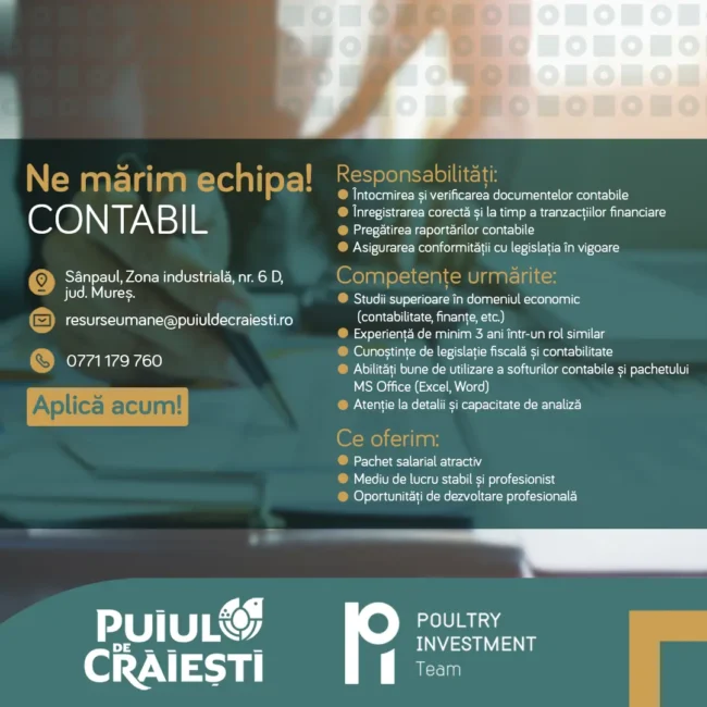 Contabil