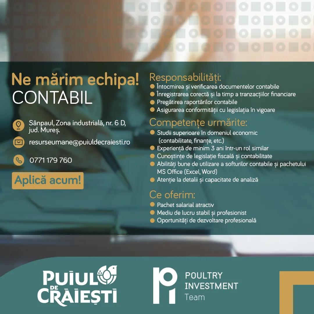 Contabil