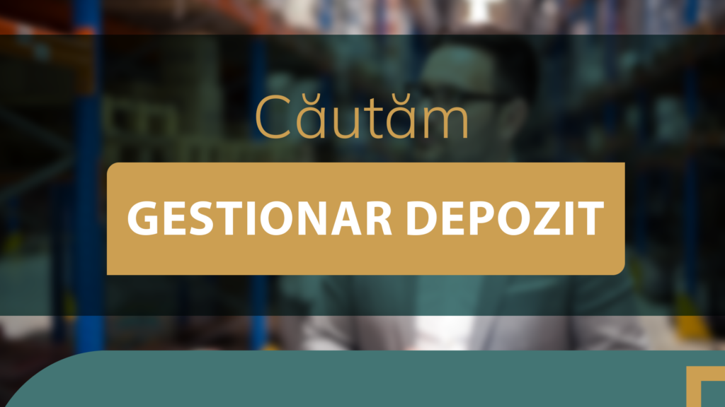 Gestionar depozit