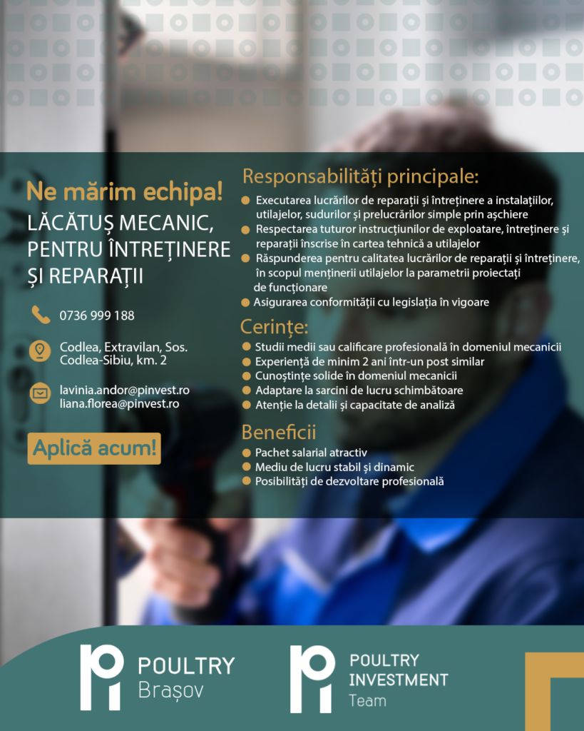 Lăcătuș mecanic, pentru întreținere și reparații